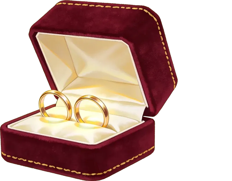 An open velvet box holding two gold rings